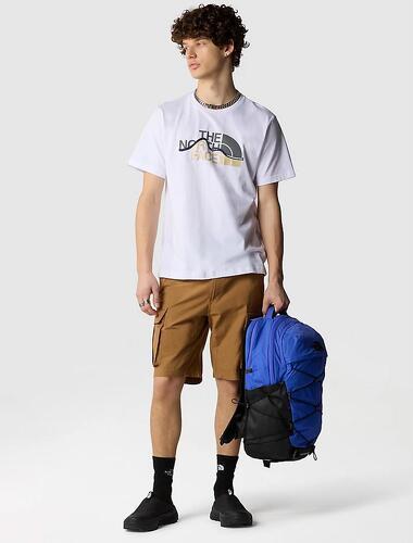 THE NORTH FACE-Mountain Line Tee-2