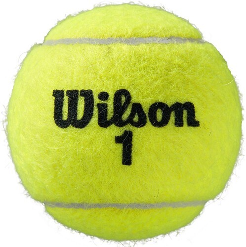 WILSON-Balles Tennis Wilson Roland Garros All Court x4-3