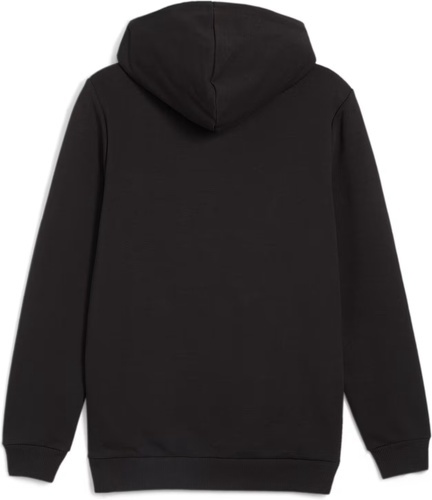 PUMA-Bvb Ftblicons Hoody-2