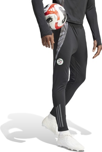 adidas Performance-Pantalon d'entraînement Algérie Tiro 24-3