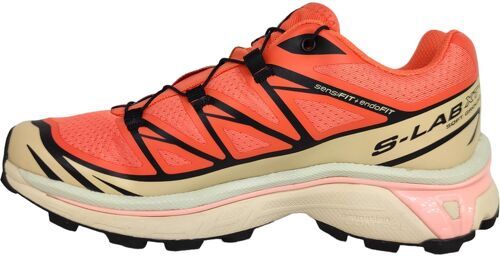 SALOMON-Xt 6 Living-2