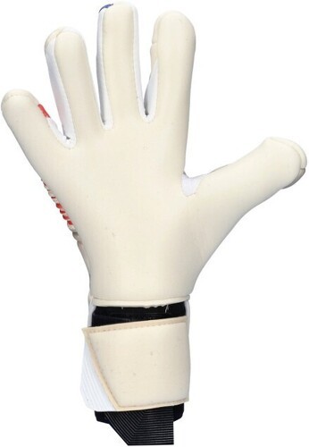 UHLSPORT-Uhlsport Absolutgrip Foam Francia Euro24-2