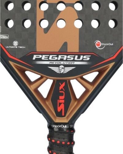 Siux-Pegasus Revolution 12K-4