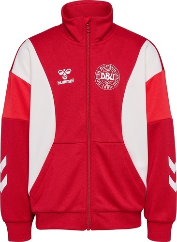 HUMMEL-Dbu Gameday Zip Veste-2