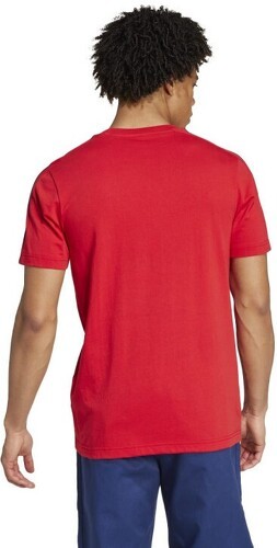 adidas Performance-T-shirt Arsenal DNA-1