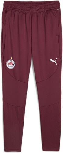 PUMA-Pantalon D'Entraînement Fc Bull Salzburg-0