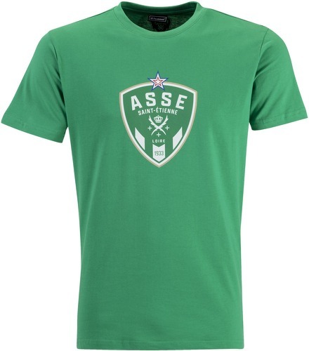 HUMMEL-T-shirt ASSE 2022/23 Fan Green-0