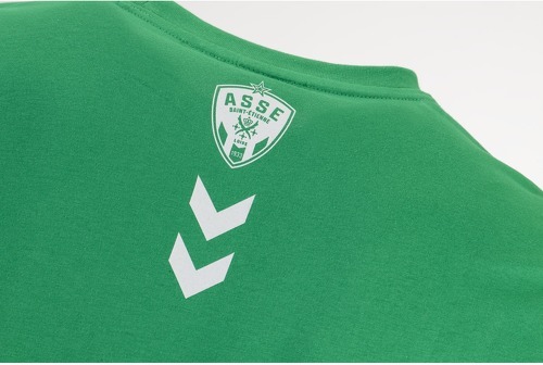 HUMMEL-T-shirt ASSE 2022/23 Fan Green-3