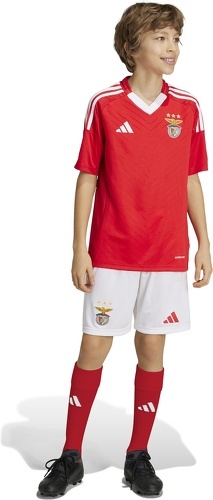 adidas Performance-Short Domicile Benfica 24/25 Enfants-1