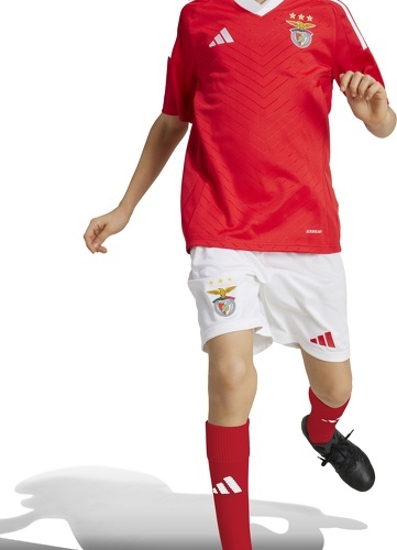 adidas Performance-Short Domicile Benfica 24/25 Enfants-2