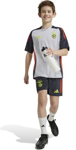 adidas-adidas Enfant SLB Benfica Training 2024-2025-image-1