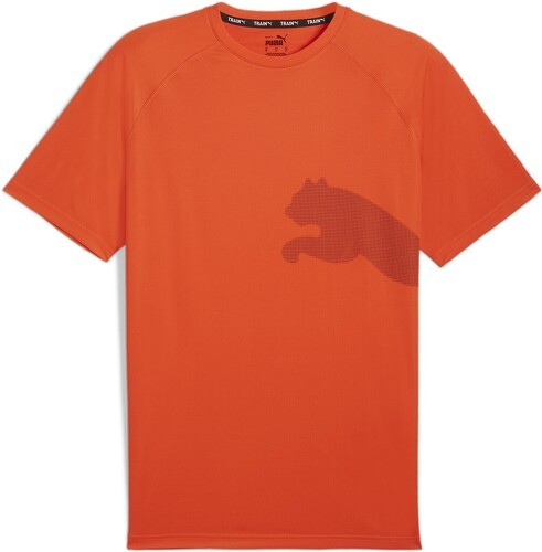 PUMA-T-Shirt De Training Train All Day Big Cat-0