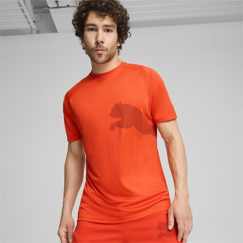 PUMA-T-Shirt De Training Train All Day Big Cat-3