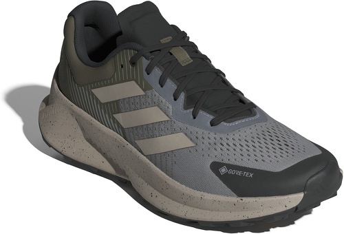 adidas Performance-Chaussure Terrex Soulstride Flow Gore-Tex-2