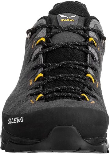 SALEWA-Alp Trainer 2 Gtx-3