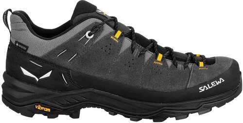 SALEWA-Alp Trainer 2 Gtx-4