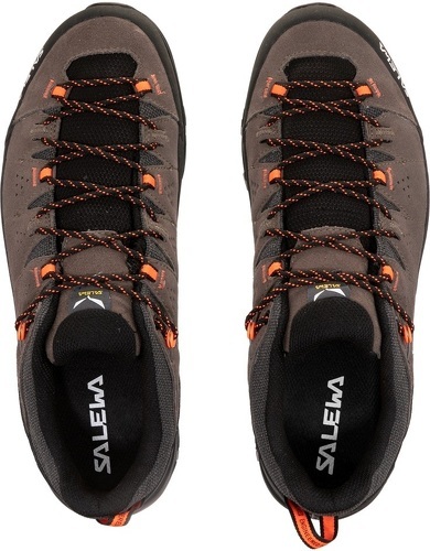 SALEWA-Alp Trainer 2-1