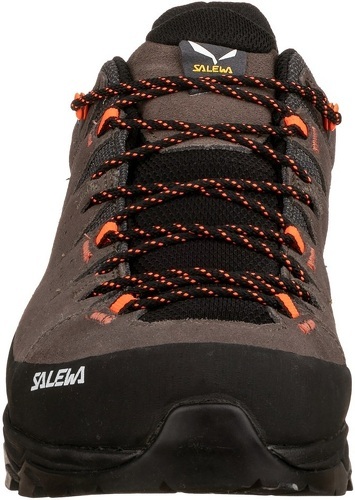 SALEWA-Alp Trainer 2-3