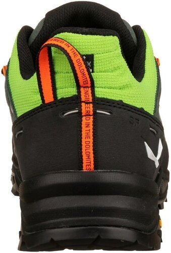 SALEWA-Alp Trainer 2-4