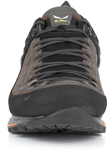 SALEWA-Mtn Trainer 2-3