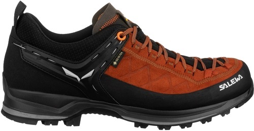 SALEWA-Mtn Trainer 2 Gtx-3