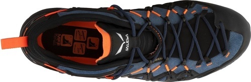 SALEWA-Wildfire Edge Gtx-1