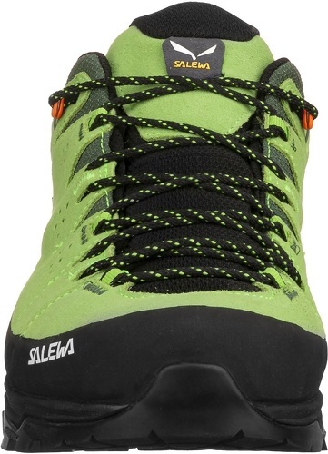 SALEWA-Alp Trainer 2 Gtx-3