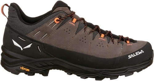 SALEWA-Alp Trainer 2-2