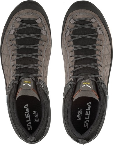 SALEWA-Mtn Trainer 2-1