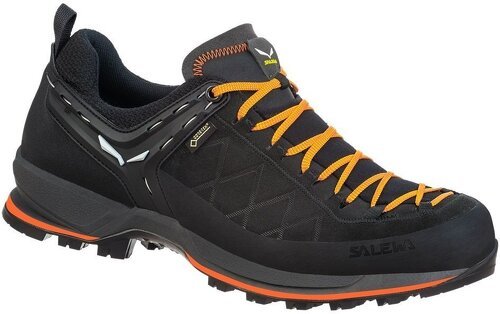 SALEWA-Mtn Trainer 2 Gtx-0