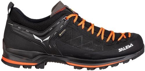 SALEWA-Mtn Trainer 2 Gtx-2