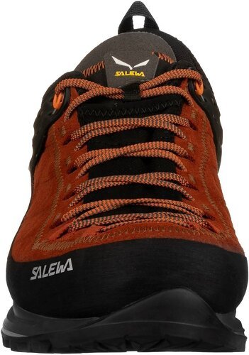 SALEWA-Mtn Trainer 2 Gtx-2