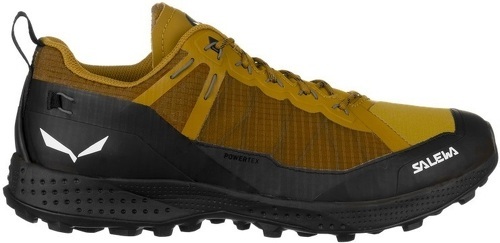 SALEWA-Pedroc Ptx-4