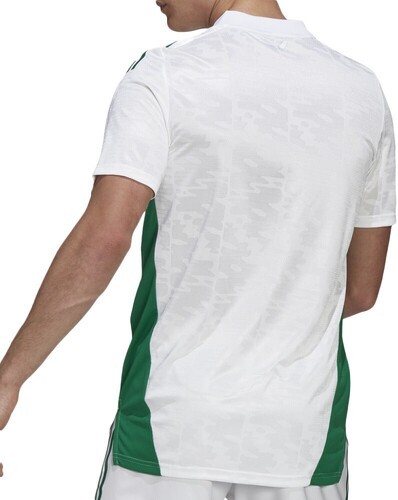 adidas Performance-Maglia Algeria Home 20/21-1