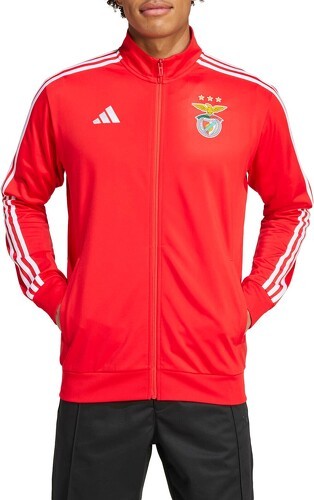 adidas-Veste de survêtement Benfica Lisbonne DNA 2024/25-image-1