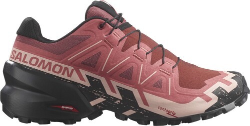 SALOMON-Buty Salomon Speedcross 6 W Bordowe-image-1