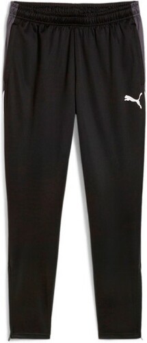 PUMA-Puma Individualliga Training Pants-image-1