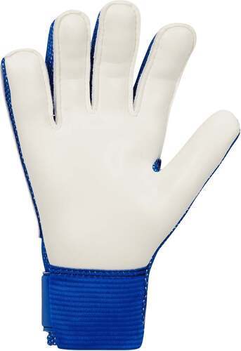 NIKE-Nike Guanti Portiere Gardien De But Match-1