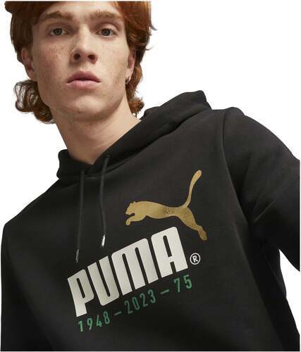 PUMA-No. 1 Logo Celebration Hoodie FL-2