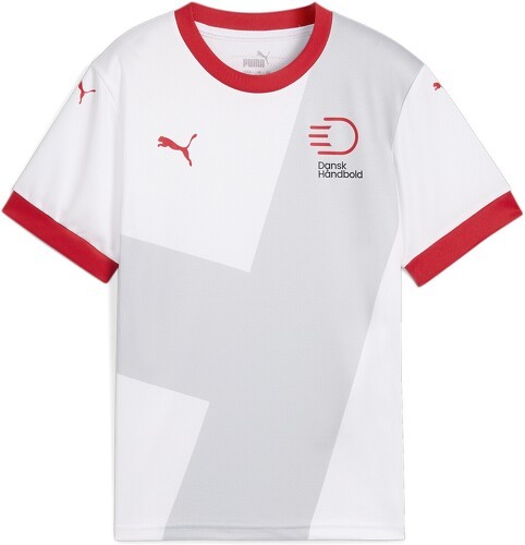 PUMA-Maillot De Handball Away Danemark-0