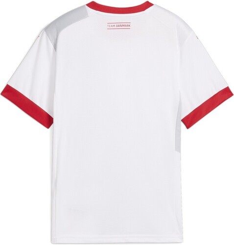 PUMA-Maillot De Handball Away Danemark-1