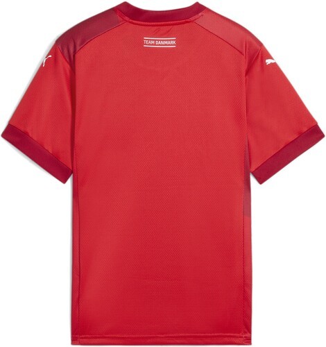 PUMA-Maillot De Handball Home Danemark-1