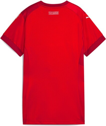 PUMA-Maillot De Handball Home Danemark-1