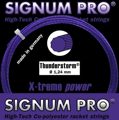 SIGNUM PRO--image-1