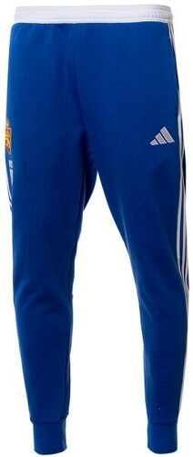 adidas-adidas Real Zaragoza Pre-Match 2023-2024-0