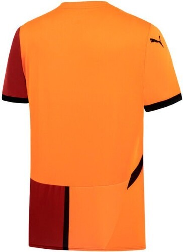 PUMA-Puma Galatasaray 2024 2025 Accueil-3