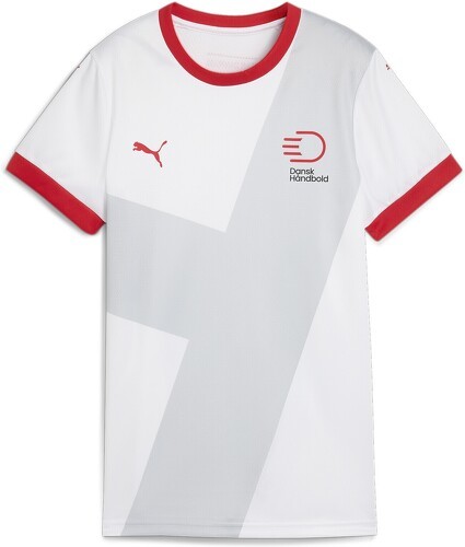 PUMA-Maillot De Handball Away Danemark-0