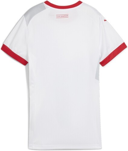 PUMA-Maillot De Handball Away Danemark-1