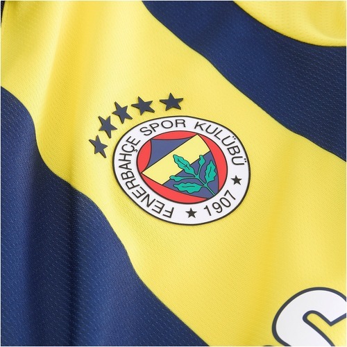 Puma Fenerbahce Istanbul Maillot Domicile 2024/2025 Colizey