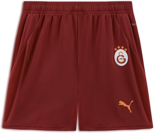 PUMA-Short 24/25 Galatasaray SK Enfant et Adolescent-image-1